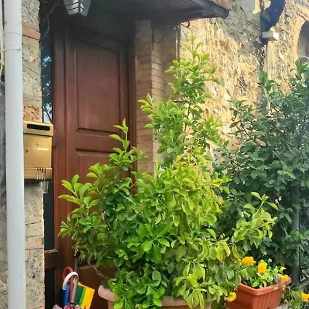 Luca's *